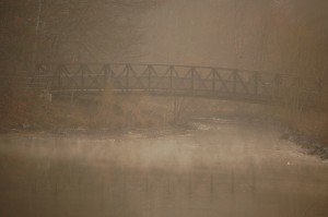 Bridge over Mist